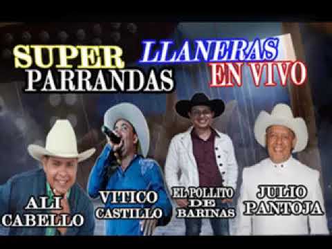 llaneras en vivo julio pantoja el pollito de barinas ali cabello vitico castillo