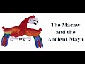 The Macaw And The Ancient Maya Art Natural History And History For Children