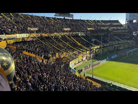 "Hinchada De Peñarol vs Cerro Mugriento / Intermedio 2024 / Campeón Del Siglo" Barra: Barra Amsterdam &bull; Club: Peñarol