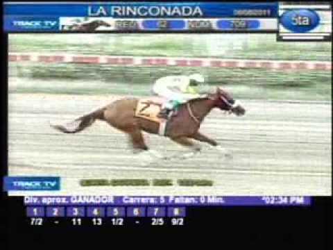 Resumen Sábado, 06 de Agosto de 2011 - La Rinconada