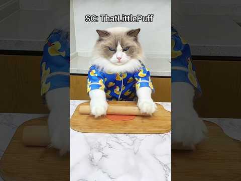 permen karet pedas⁉️