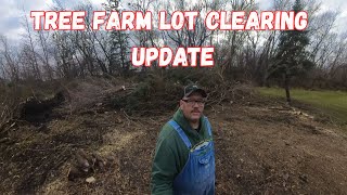 Christmas tree farm lot clearing update. What did I get accomplished in a week?