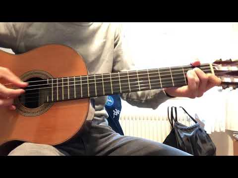 Speranza - CAMMINANTE feat Rocco Gitano | Guitar Cover-Tutorial
