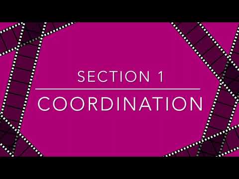 Blitz Trick Dog Champion Title