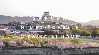 姫路城　日本さくら名所100選