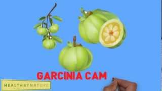 Garcinia Cambogia Extract for Weight Loss Diet Pills Fat Burner (Lipovida)