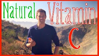 100% Natural Vitamin C Source - Most Supplements Are Synthesized!