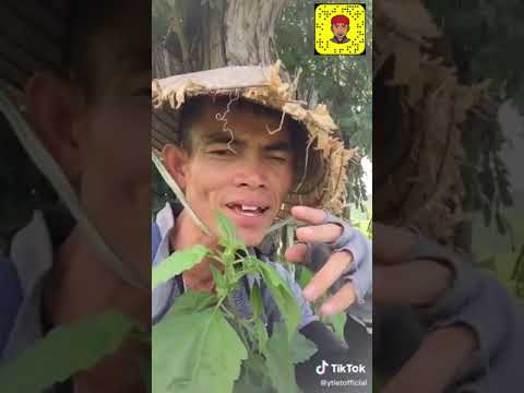 Ytiet The Funny Vietnamese man singing numbers 1-100 tiktok