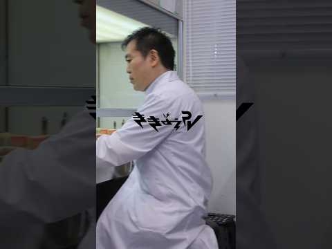 【ききょうPV】どんなときも #迷い探し続ける日々 #答えになること #僕は知ってるから #槇原敬之
