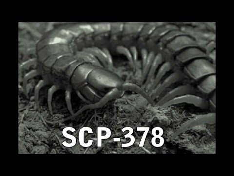 SCP-378 "Brainworm" Addendum 178-294b