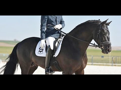 POETA DE SUSAETA-DEBUT PREL 4 AÑOS