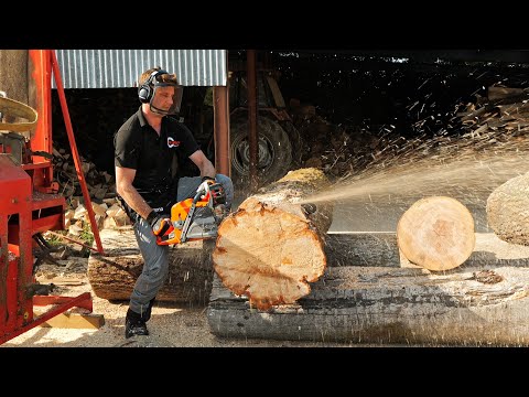 Husqvarna 592 XP® Can it cut wood? YES IT CAN!!!