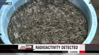 Fukushima Japan crisis direct affect on food and fish