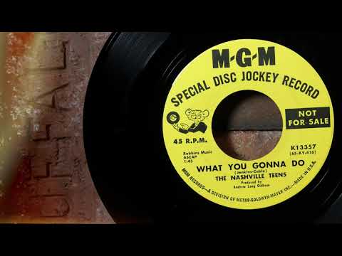 The Nashville Teens - What You Gonna Do  ...1965