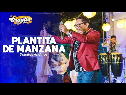 Deleites Andinos - Plantita De Manzana | En Vivo 2022 (El Orgullo Alto Piurano)