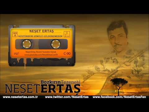 Neşet Ertaş - Küstürdüm Gönülü Güldüremedim