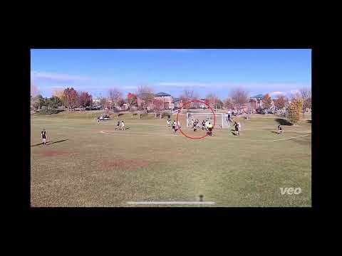 Aly Green - Class of 2024 - Goalkeeper - Highlight Video