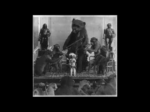 Gabriel Moraes - Opposite (EEEMUS's Witch Doctor Summoning)