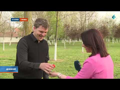 Kulpin mesto tolerancije i gostoprimstva