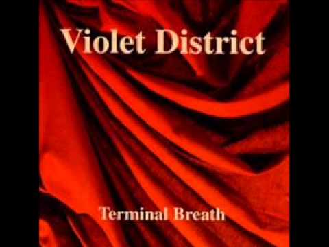 Violet District - Assurance