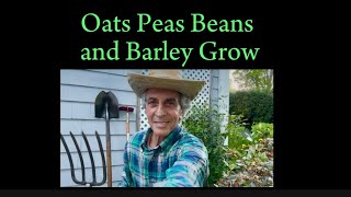 Oats Peas Beans and Barley Grow #movement #funforkids #farming #farmers #preschool #toddlers