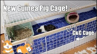 Building My New Guinea Pig Cage | C&C Cage