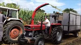 Ensilage à l'ancienne 2026 chez Rémi Quettier, à Colomby 50700, 1ère partie.