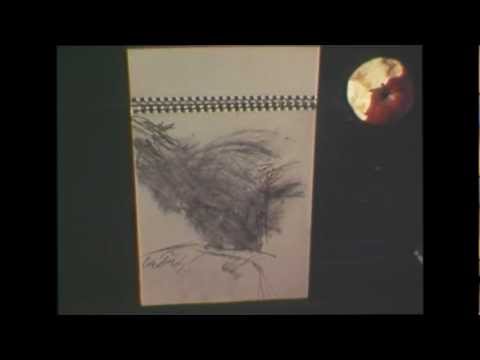 The Evolution of an Artist