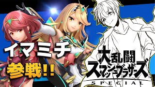 【スマブラ SP】疲労感をスマブラで拭います/ホムヒカ【大乱闘スマッシュブラザーズSPECIAL】