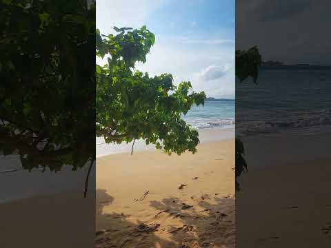 JUNGLE BEACH #jungle #beach #srilanka #travel #nature #samsunggalaxy #beautiful #naturephotography