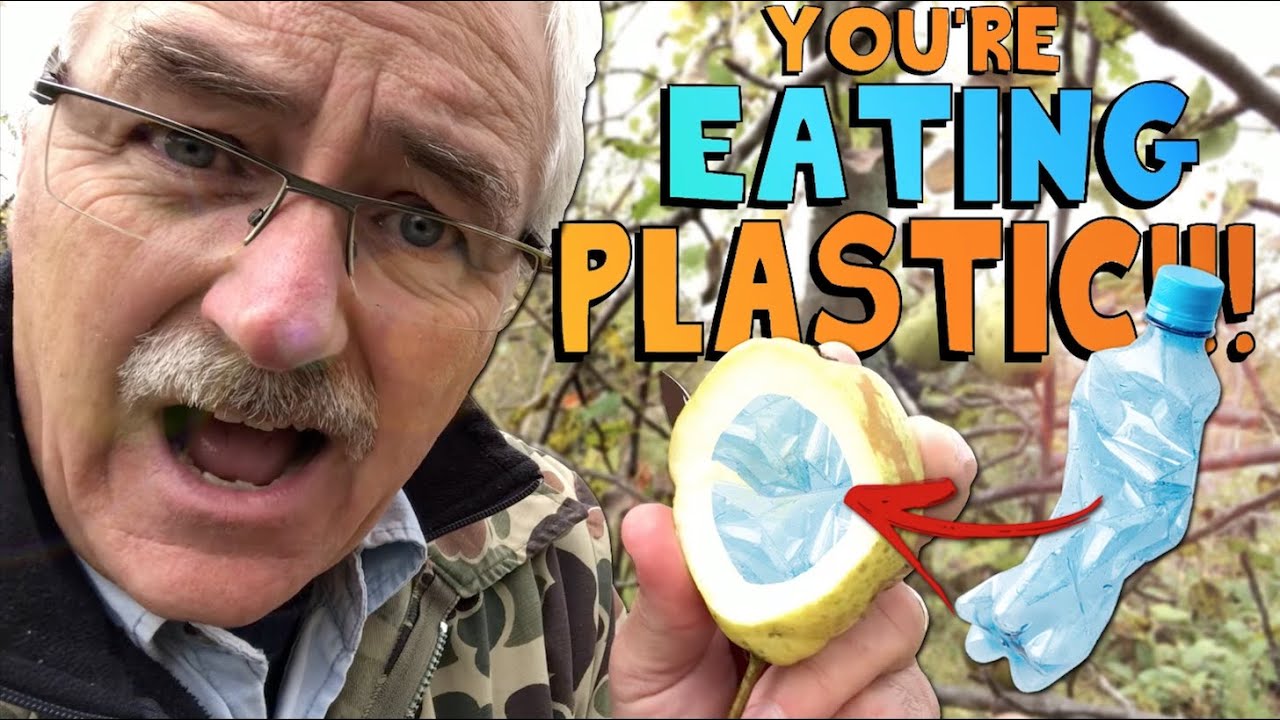 There’s MICROPLASTICS in your FRUIT and VEGETABLES !!! - YouTube