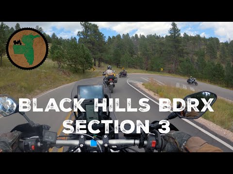 Black Hills BDRx: Section 3
