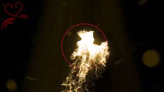 Allı Turnam - Mutlu Yıllar Türkiye - beyinvesinir.com - 2017