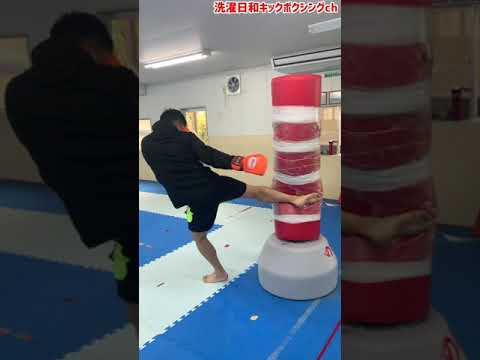めちゃ痛いローキック#Shorts