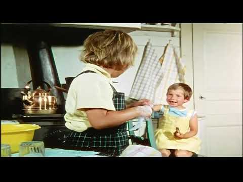 Ferien auf der Kräheninsel von Astrid Lindgren