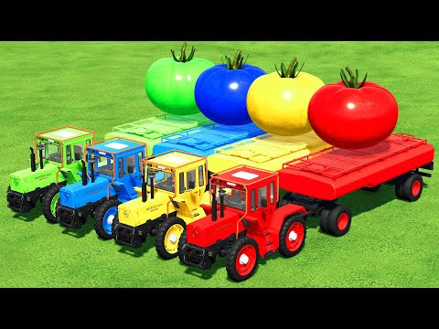 LOAD & TRANSPORTING TANKERS & GIANT TOMATOES WITH MERCEDES TRACTORS - Farming Simulator 22