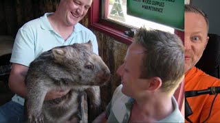 When Limmy met a Wombat