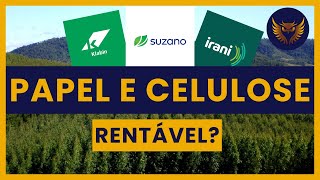Empresas de PAPEL e CELULOSE na Bolsa! KLBN4 RANI3 SUZB3