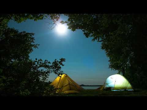 Nonstop Loon Calls With Campfire Sound ~ Loon Calls For Relaxing; *With Relaxing MUSIC*