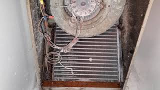 Mold EVERYWHERE 911 slum lord part 3