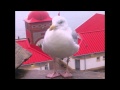 Alison Moyet- A place to stay (with lyrics)