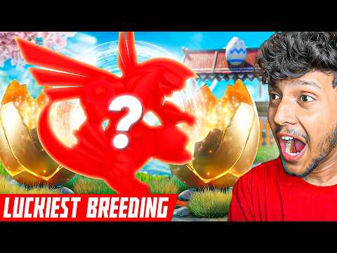 LUCKIEST BREEDING EVER - NEW LEGENDARY POKEMON! 😱 PALWORLD #08