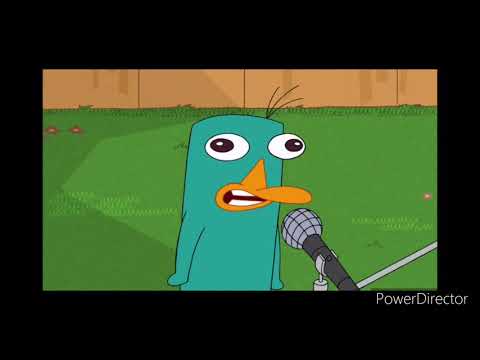 A Cat Crew Version of a Phineas and Ferb Scene