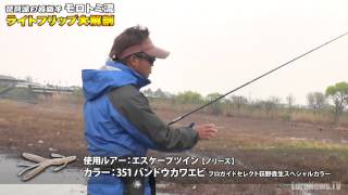 動画「ライトフリップ実釣編」のサムネイル画像