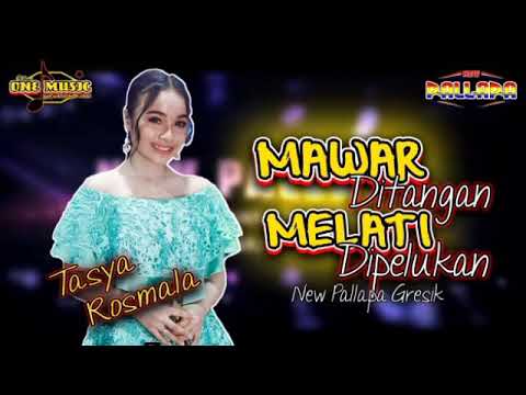 MAWAR DITANGAN MELATI DIPELUKAN Tasya Rosmala NEW PALLAPA GRESIK
