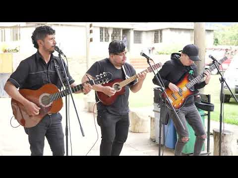 Arbolito Seco Carranga del Carranguero Mayor Jorge Velosa