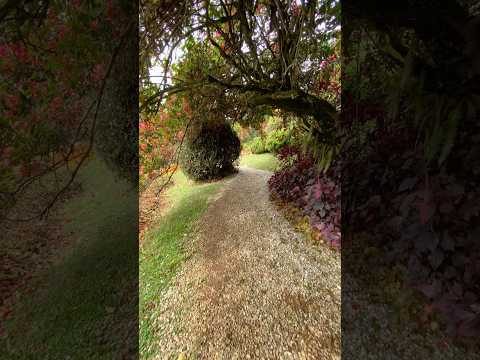 Jardim dos Pinhais Ecco Parque - Santo Antônio do Pinhal