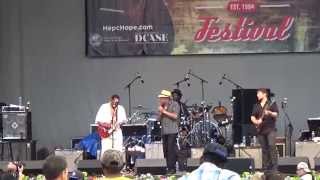 2015 Chicago Blues Festival Sunday ~ The Same Thing Willie Dixon