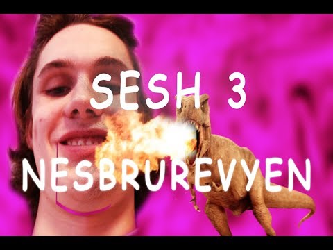 Nesbrurevyen 2018 intensiv dag 3