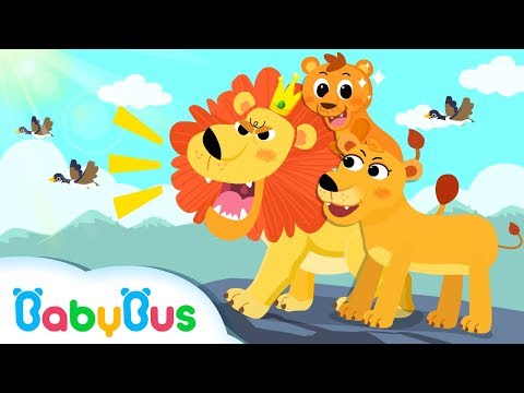 King of Forest: Big Lion | Baby Panda Goes to Forest | Kids Songs collection | BabyBus